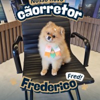 Imagem da imobiliária