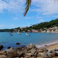 Imagem da imobiliária