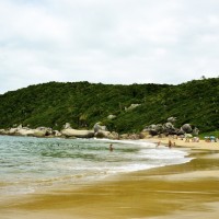 Imagem da imobiliária