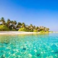 Imagem da imobiliária